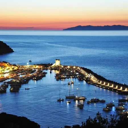 Mini Ulivo Marciana Marina (Isola d'Elba)
