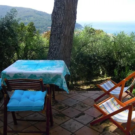 Guest house Mini Ulivo Marciana Marina (Isola d'Elba)