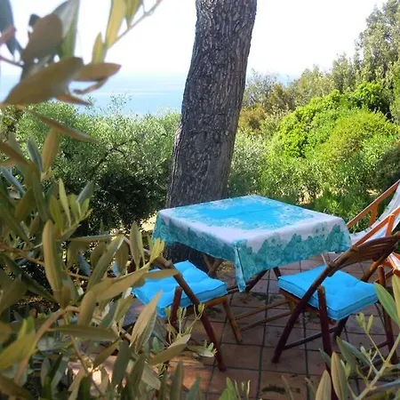 Mini Ulivo 3* Marciana Marina (Isola d'Elba)